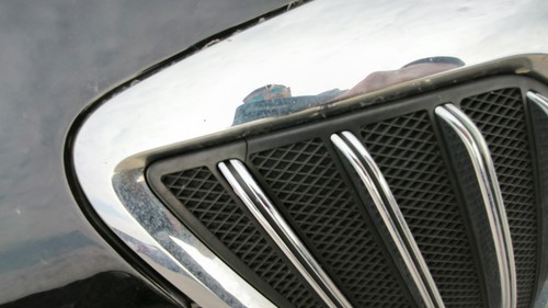 Griglia Mascherina Anteriore Lancia Musa Restyling 2008-2012 - Imagen 3 de 7