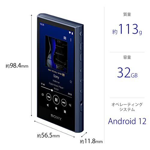 SONY NW-A306 LC WALKMAN 32GB Hi-Res A300 Series Audio Player
