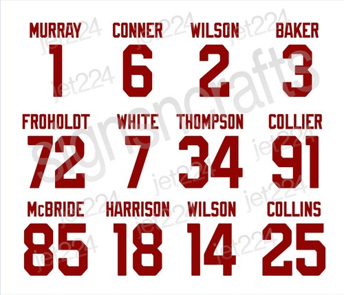 Arizona Cardinals STICKER DECAL 2025 team