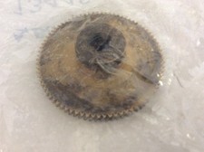 Boston Gear Q1322 Worm Gear 25 PA Pressure Angle 0.250" Bore 20:1 Ratio 80 Theet