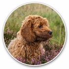 2 x Vinyl Stickers 20cm - Fluffy Cockapoo Puppy Dog Cool Gift #2703