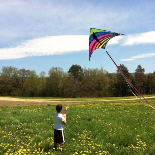 Mehrfarbiger Delta-Drachen für Kinder & Erwachsene einfach zu fliegen für Anfänger - Bild 2 von 6