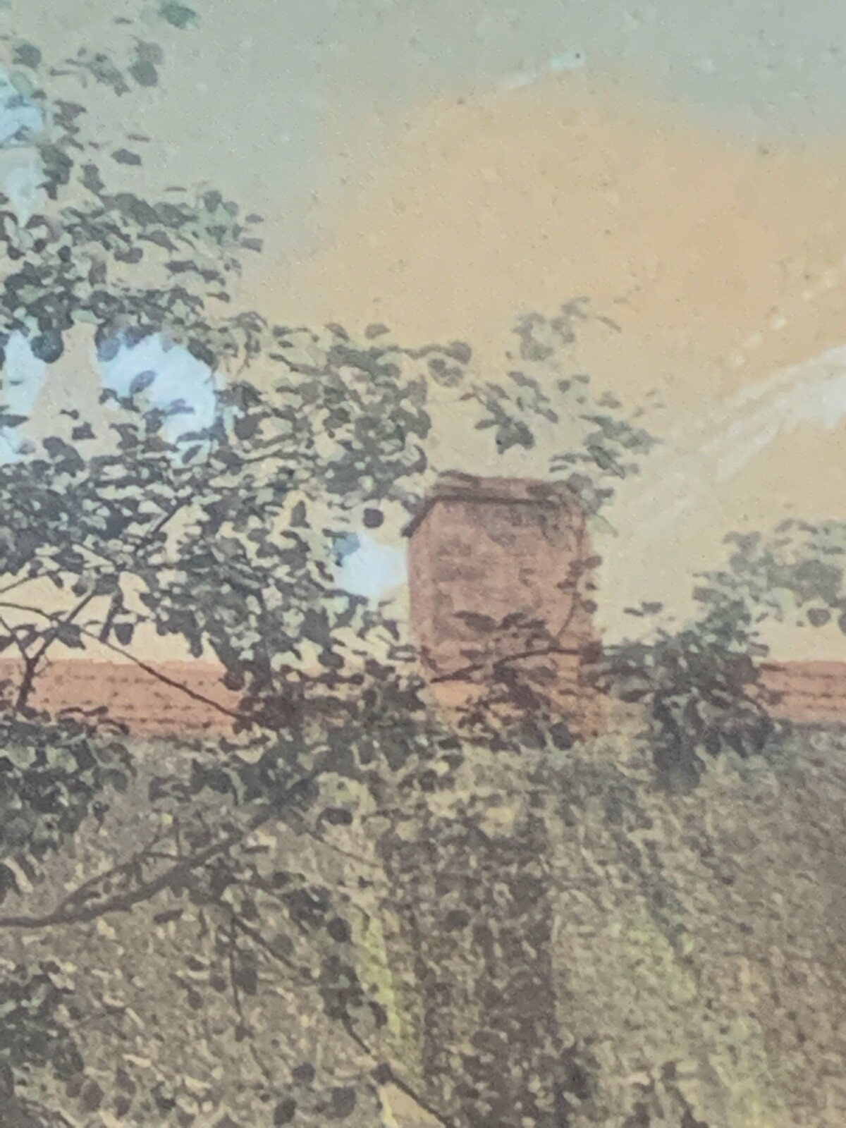 Picture 10 of 11