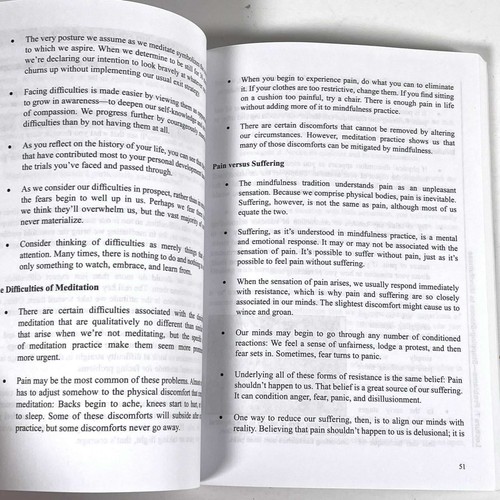 TOLLE KURSE: Achtsamkeit üben: Eine Einführung in Meditation DVDs & Buch - Bild 8 von 10