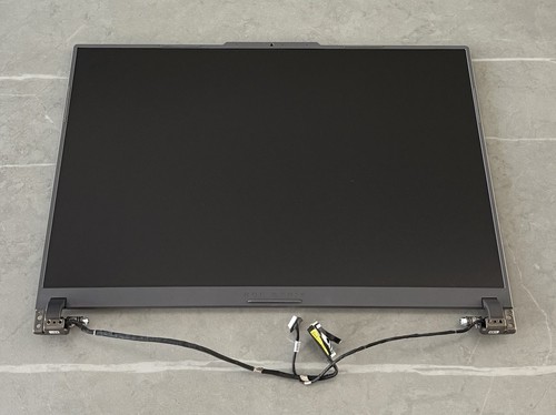 Asus ROG Strix G614J G614JV  16" Genuine FHD+ LCD Complete Screen Assembly Gray - Picture 1 of 2