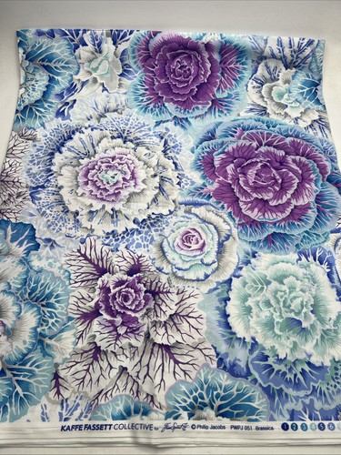 Kaffe Fassett Brassica: Sky Philip Jacobs Fabric 4 Yards Free Spirit PWPJ051