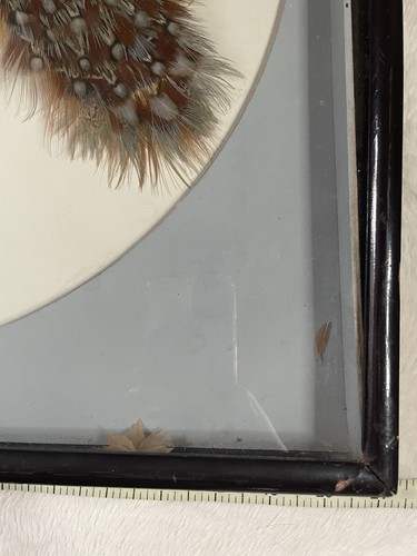 Chinesisches 3D Wandbehang Bild Diorama Vögel Kraniche Federn Vintage Retro Kunst - Bild 7 von 24