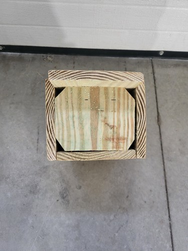 1 Bluebird Haus aus behandeltem Holz - Bild 3 von 6