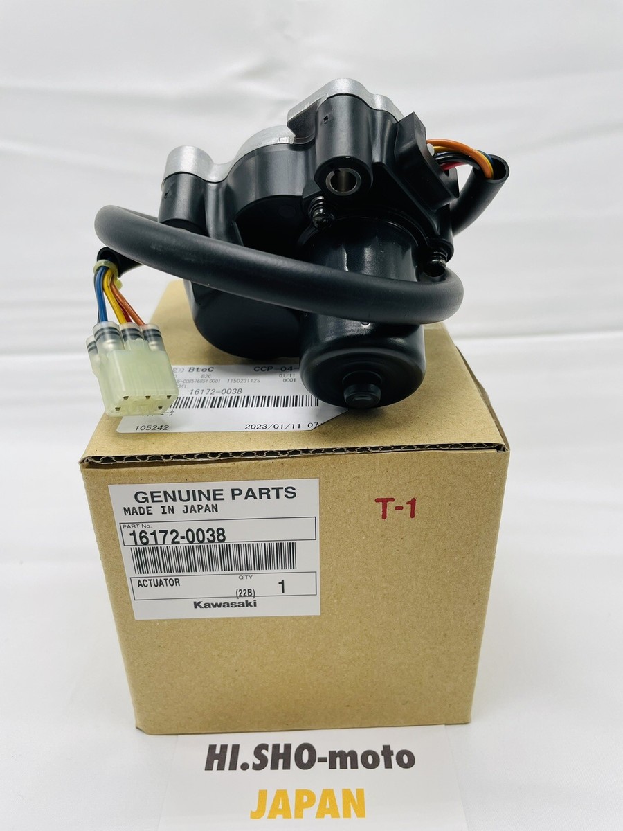 2012-2022 Kawasaki Teryx/Teryx4 Actuator | 16172-0038 2012-2022 Kawasaki Teryx/Teryx4 Actuator | 16172-0038