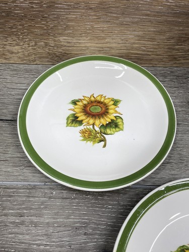 Genuine Ironstone Sunland by Harmony House Japan 7 3/8” Salad Plates~Set of 5 - 第 5/17 張圖片