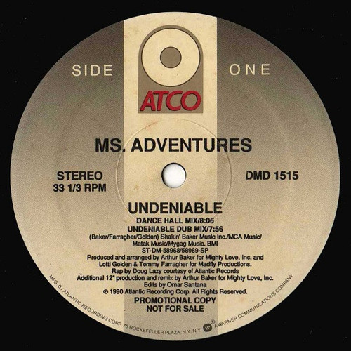 Ms. Adventures Undeniable 12" Promo Vinyl Schallplatte 103 - Bild 1 von 1