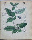 Picture 19 of 23