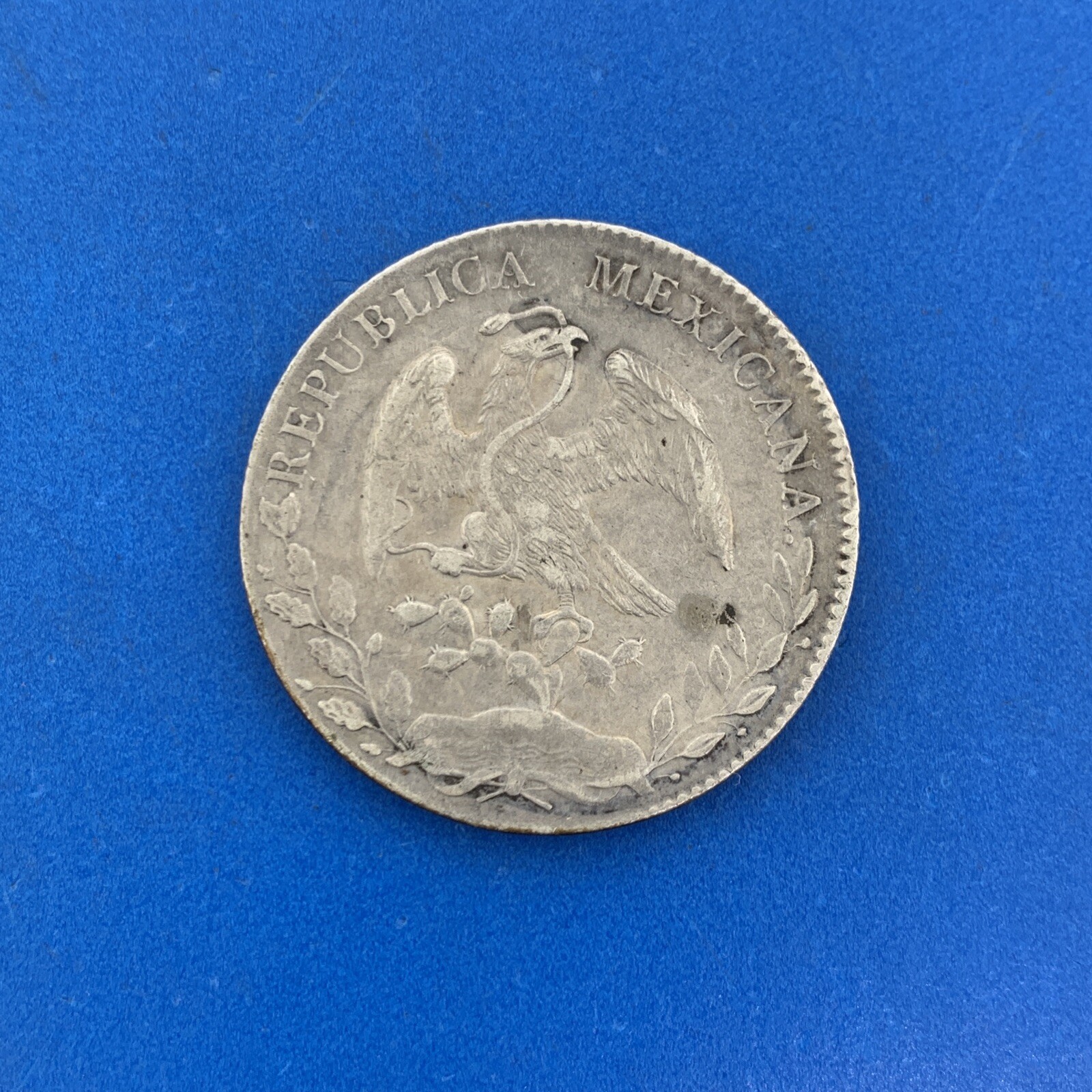 Picture 7 of 12