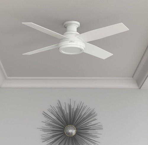 Hunter Fan Company 59248 Dempsey Indoor Low Profile Ceiling Fan With Remote - Picture 3 of 7