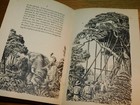 Picture 8 of 12
