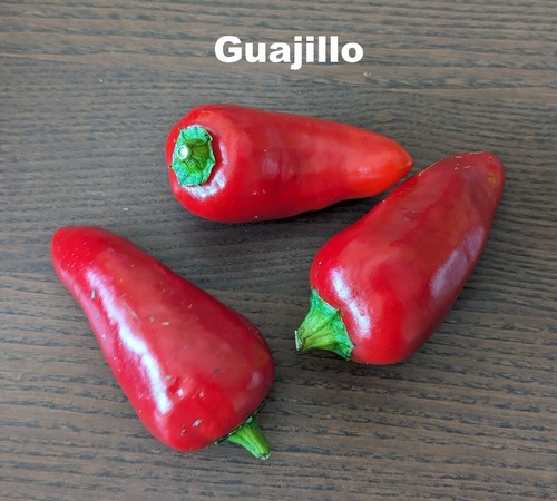 Seed- Mexican Beloved Hot Peppers Guajillo Poblano- (Chile Ancho) Jalapeno - Foto 10 di 26