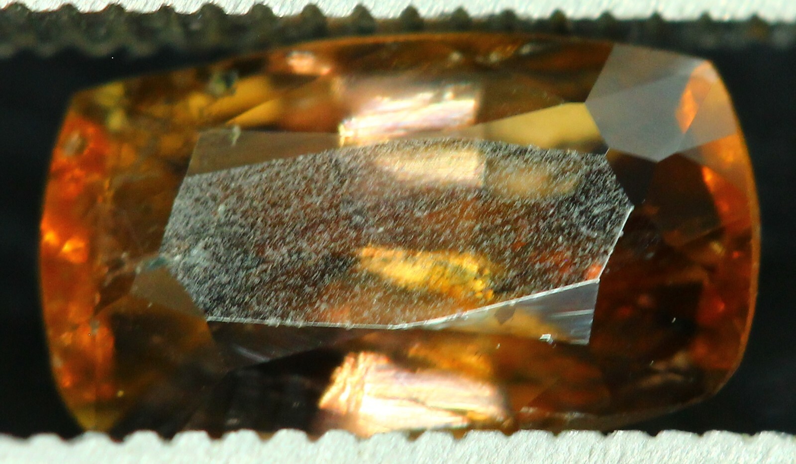 Picture 3 of 5