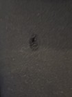 Bild 6 von 6