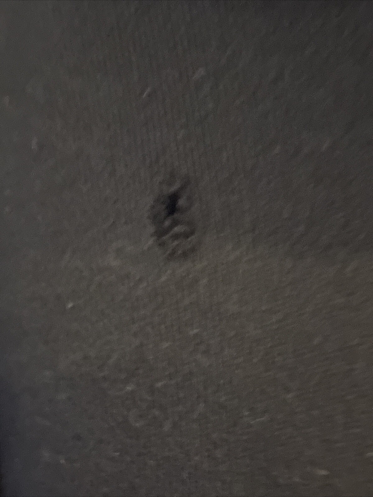 Picture 6 of 6