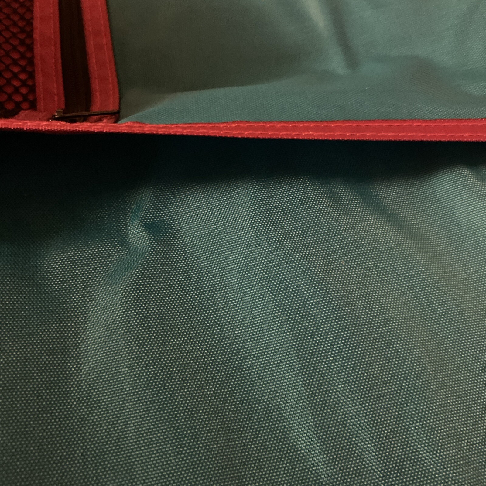 Picture 6 of 6