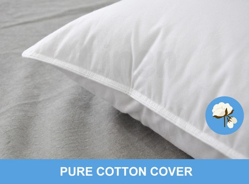 2x Aus Made Microfibre Hotel Pillow - Cotton Cover -Altern to Down/Latex/Memory - Picture 3 of 8