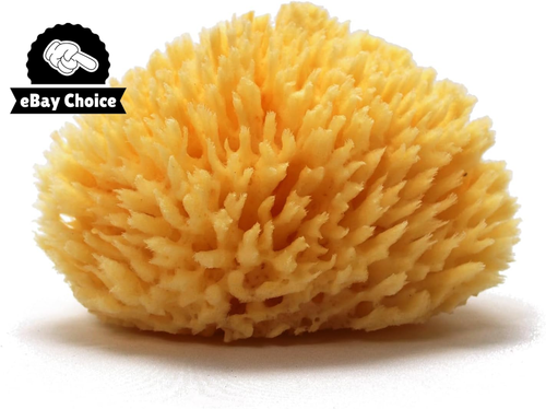 Natural Sea Wool Sponge 11-13cm Soft Gentle Exfoliating Bath Body Eco Friendly - Picture 11 of 12