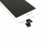 Foto 4 di 5