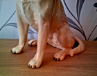 Bild 4 von 7