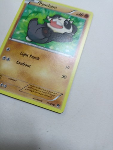 Pancham 71/122 Breakpoint Regular - Picture 6 of 9