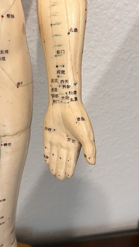 Acupuncture Points Model Nude male Doll Rubber sculpture Scientific biology Vntg - Picture 7 of 17