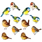  6 Pcs Fenster Aufkleber Vogel-Fensteraufkleber Antikollisions-Fensteraufkleber