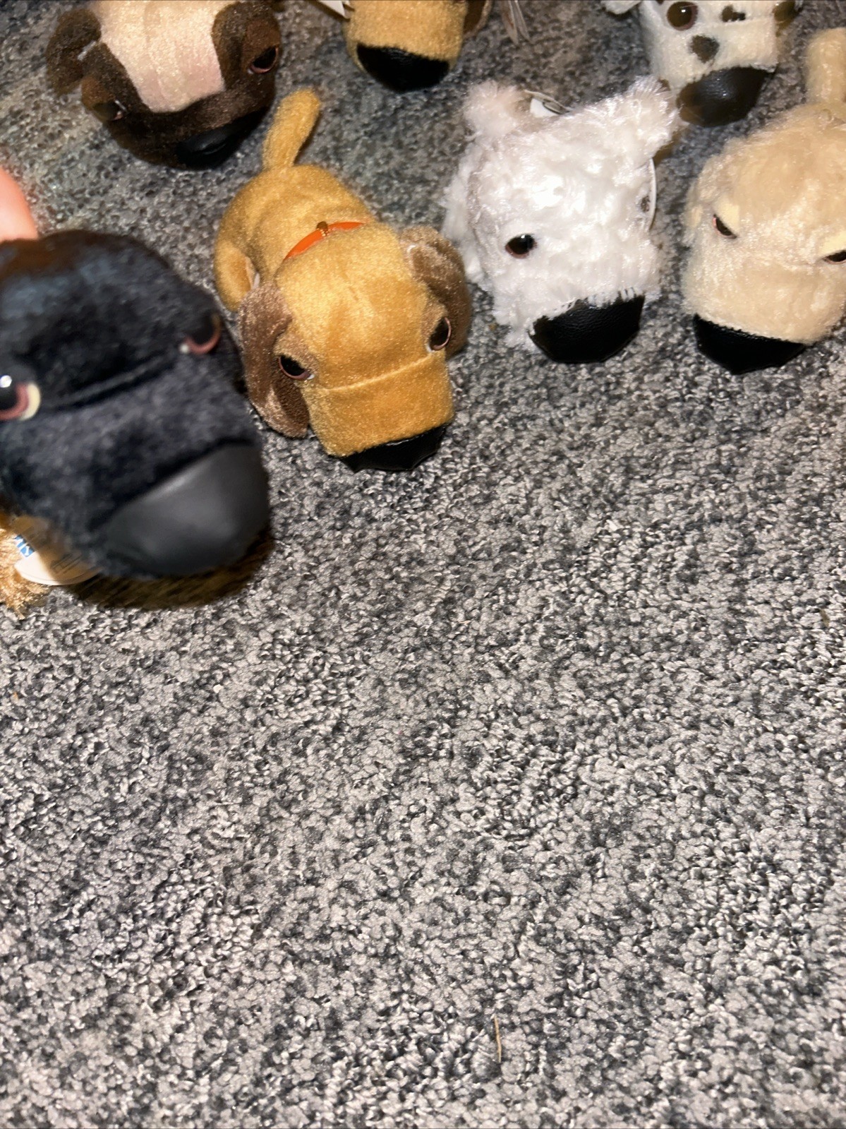 Bild 8 von 13