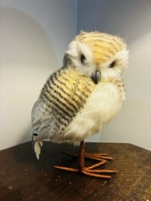 Feathered White Barn Owl Figure Cabin Cottage Decor Lightweight Large 10”