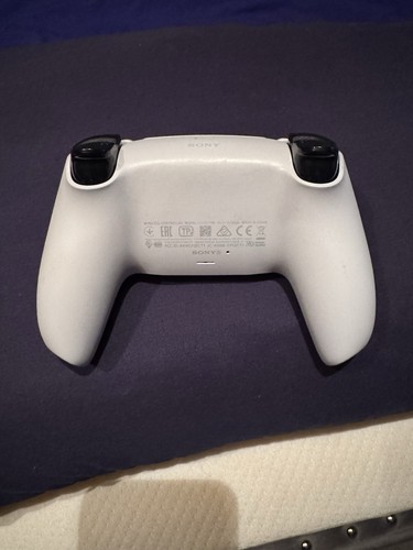 Fist Of Justice Cherami Leigh Makoto Signed PS5 Controller! Rare!!!! Rare!! - Picture 3 of 3