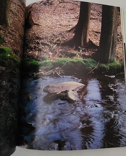 The Sense of Wonder Hardcover Book By Rachel Carson  - Picture 7 of 10