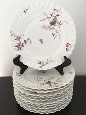 Set Of 11 Haviland &Co Limoges  Ruffled Plates Wild Flowers  Design D 9.5”