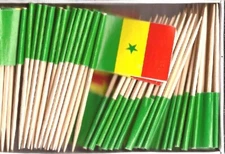 One Box of 100 Senegal Toothpick Flags, 100 Small Mini International Flags