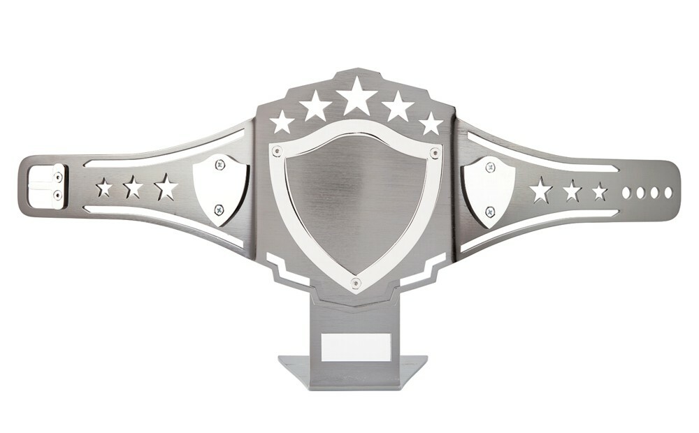 Artes Marciales premios Niquelado campeón Cinturón trofeos 2 Tamaños Gratis Grabado Artes Marciales premios Niquelado campeón Cinturón trofeos 2 Tamaños Gratis Grabado