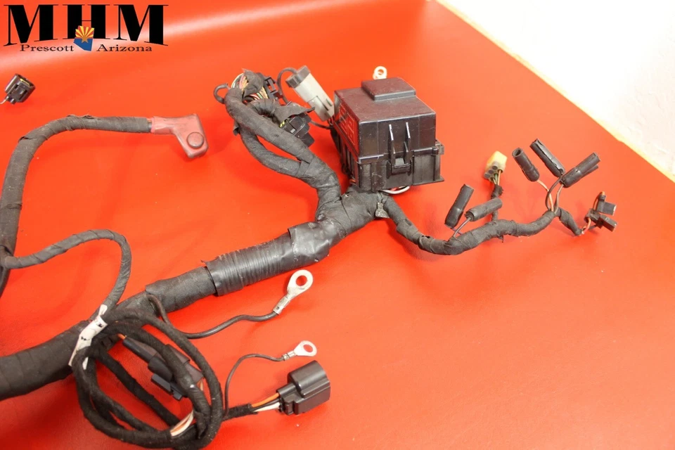 Buell Lightning XB12SCG XB12S 2008 motor principal arnés de cableado motor telar de cable Foto 3 de 4