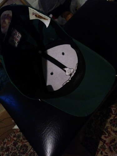 DALE EARNHARDT Jr #88 Amp Energy Hendrick Motors Team Issue Hat - Picture 9 of 9