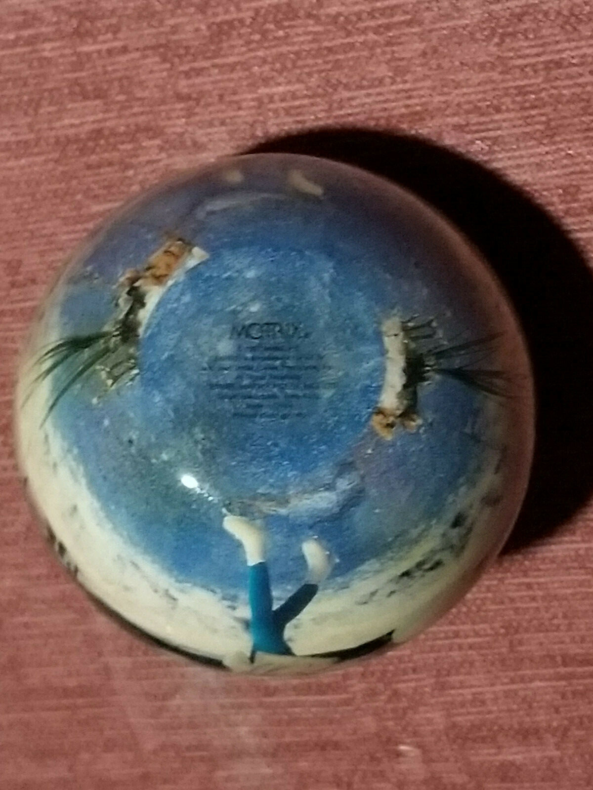 Picture 15 of 19
