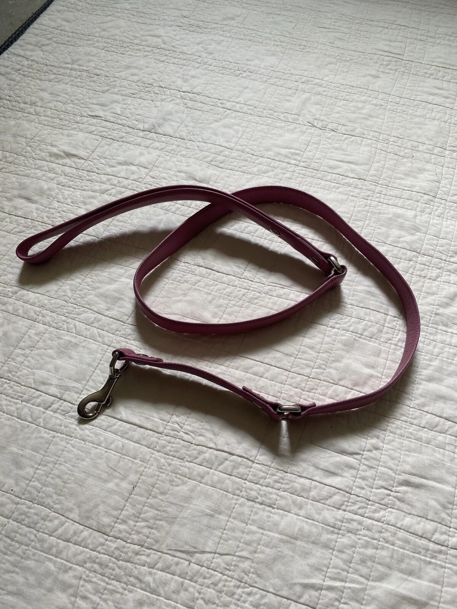 Coach leash hot sale