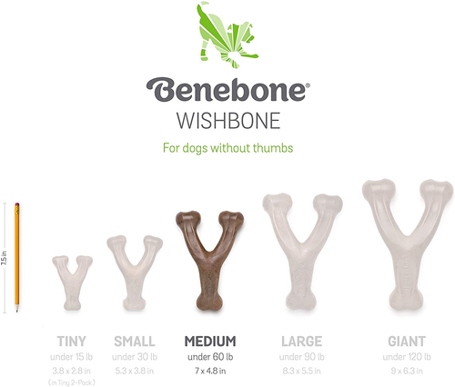 Juguete duradero para masticar perros Wishbone para masticadores agresivos, Baco real - Imagen 6 de 12