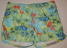 Men's George Hawaii Palms Flamingo Drawstring Waist Mesh Line Swim Shorts S,2X3X