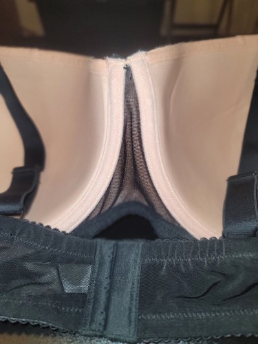 Women's Creme Bralee Stunning Pink Burlesque Lace Trim Sheer Wings Bra 44C NWT - Picture 9 of 10