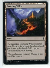EVOLVING WILDS Dragons of Tarkir #248 DTK(LP)(MTG)