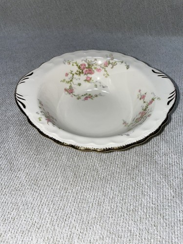 Popegosser China Placesetting, Teacup Saucer Plate Bowl - Picture 2 of 18