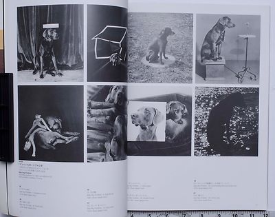 William Wegman Exhibition 1997 Catalogue Book Printed in Japan | eBay