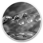 2 x Vinyl Stickers 30cm (bw) - Cute Lady Bird Garden Wildlife  #40929