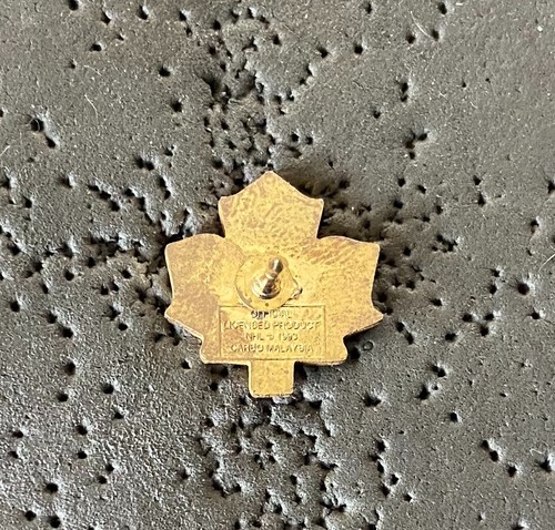 Toronto Maple Leafs Logo NHL Hockey Pin - Imagen 2 de 2